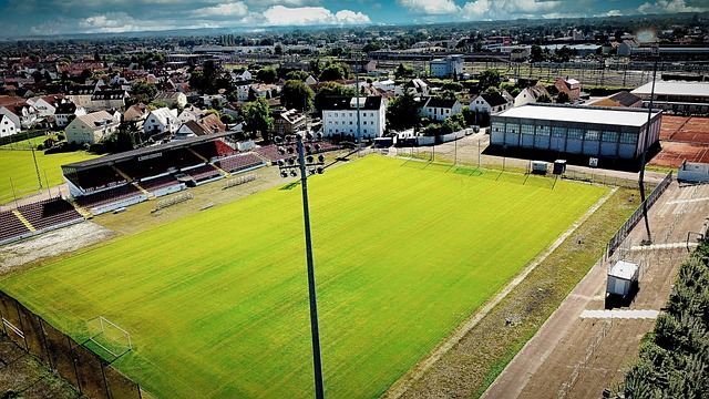 不应一味追 不应一味追