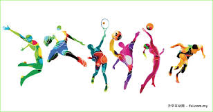 专业标准 专业标准