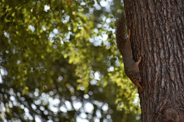关注也频频 关注也频频