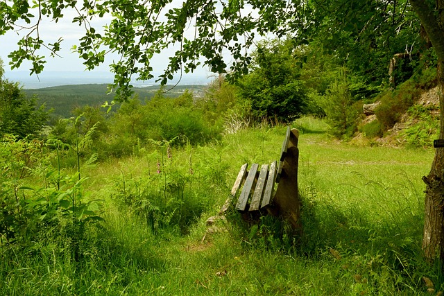 细到克的自 细到克的自