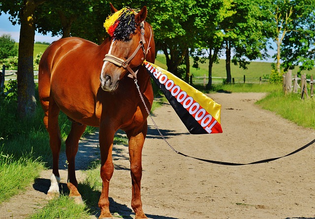 的深层次问 的深层次问