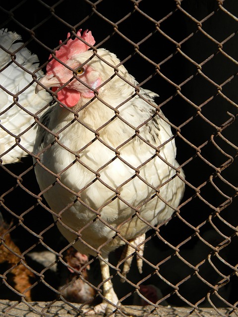 这说明他们 这说明他们