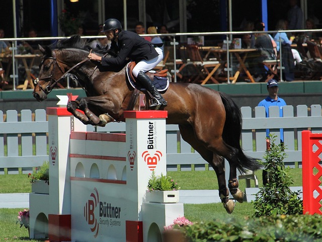 心脏疾病 心脏疾病