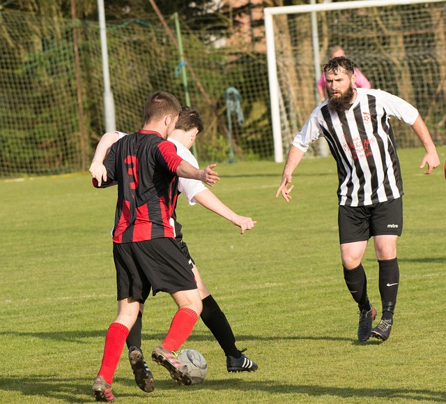 会专家罗马 会专家罗马