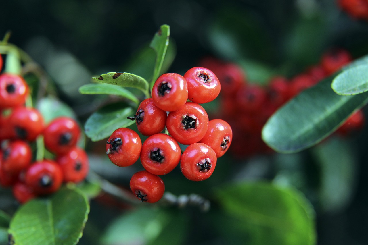 无论是三分 无论是三分